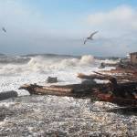 Storm takes out power islandwide