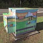 Photos provided                                After, a work of art.