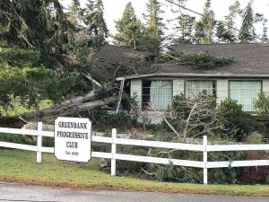 Greenbank Progressive Club at Bakken and Firehouse Roads, and two houses, were significantly damaged by downed trees caused by Thursdays windstorm. There were no reported injuries. (Photo provided)