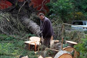 Storm clean up continues