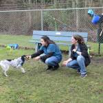 Photo by Jessie Stensland / Whidbey News-Times.                                Mikala Baday and Loren Taylor, animal care technicians at WAIF, play with a cattle dog-mix named Kiya at one of the shelters large play enclosures.