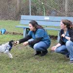 Support is great, but WAIF still has its critics