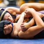 Erikson takes 2nd at Arlington tournament / Girls wrestling