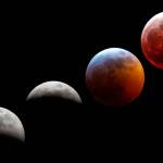 The tide is high: Coastlines to come?