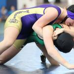 Wildcats close out regular season, head to subregional tournaments / Wrestling