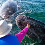 In touch with giants