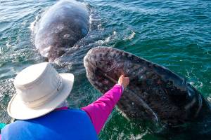 In touch with giants