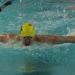 Franklin leads Wildcats at district meet / Swim and dive
