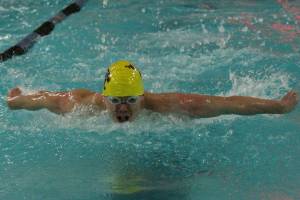 Franklin leads Wildcats at district meet / Swim and dive