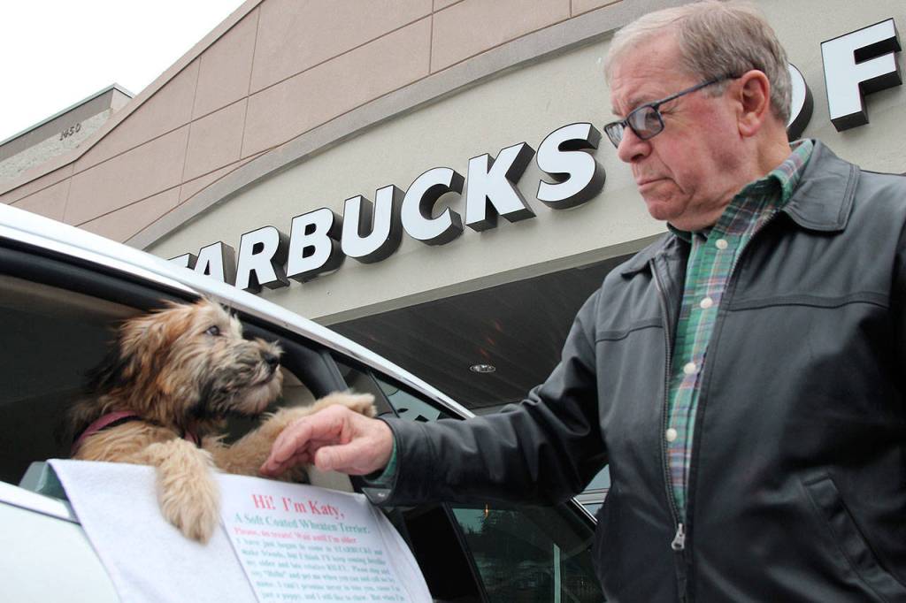 Bill Cheaqui and his dog, Katy, are regulars at Starbucks near Safeway in Oak Harbor.
