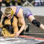 Simorato and Lincolns Johnaven Notti.(Photo by John Fisken)