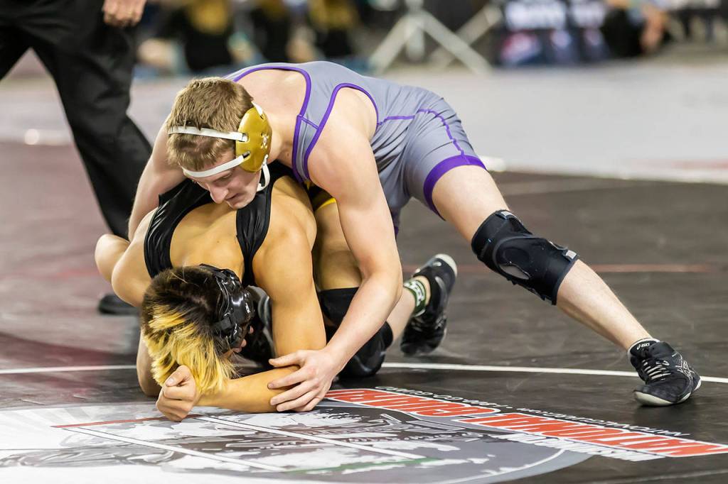 Simorato and Lincolns Johnaven Notti.(Photo by John Fisken)