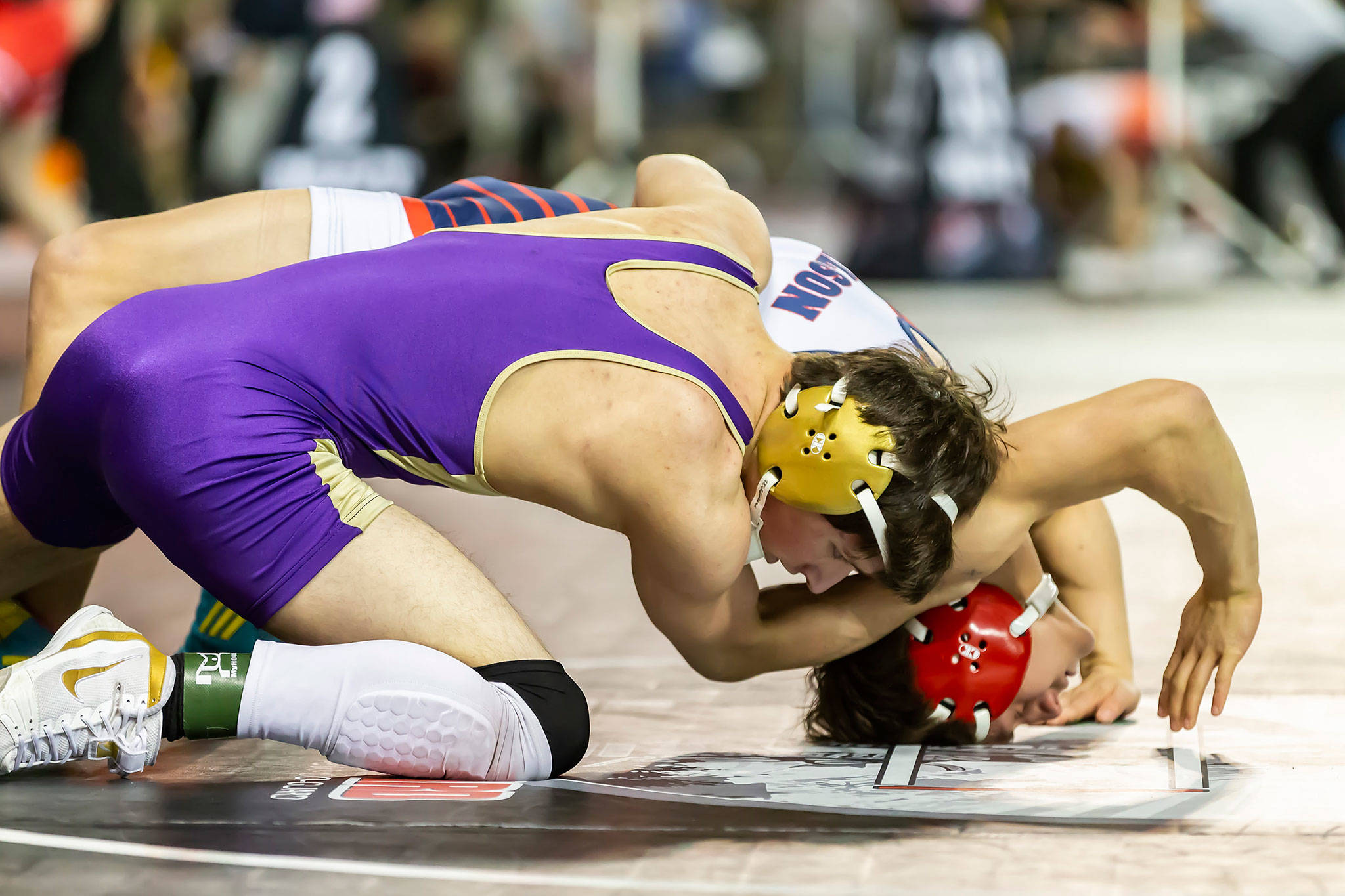 Wilsons Chayse Lydy bridges to keep from getting pinned by Oak Harbors Blake McBride, front. McBride won the match 16-0 on the way to placing seventh in the 145-pound class at state. (Photo by John Fisken)