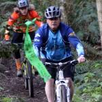 Plan for a wheel good time