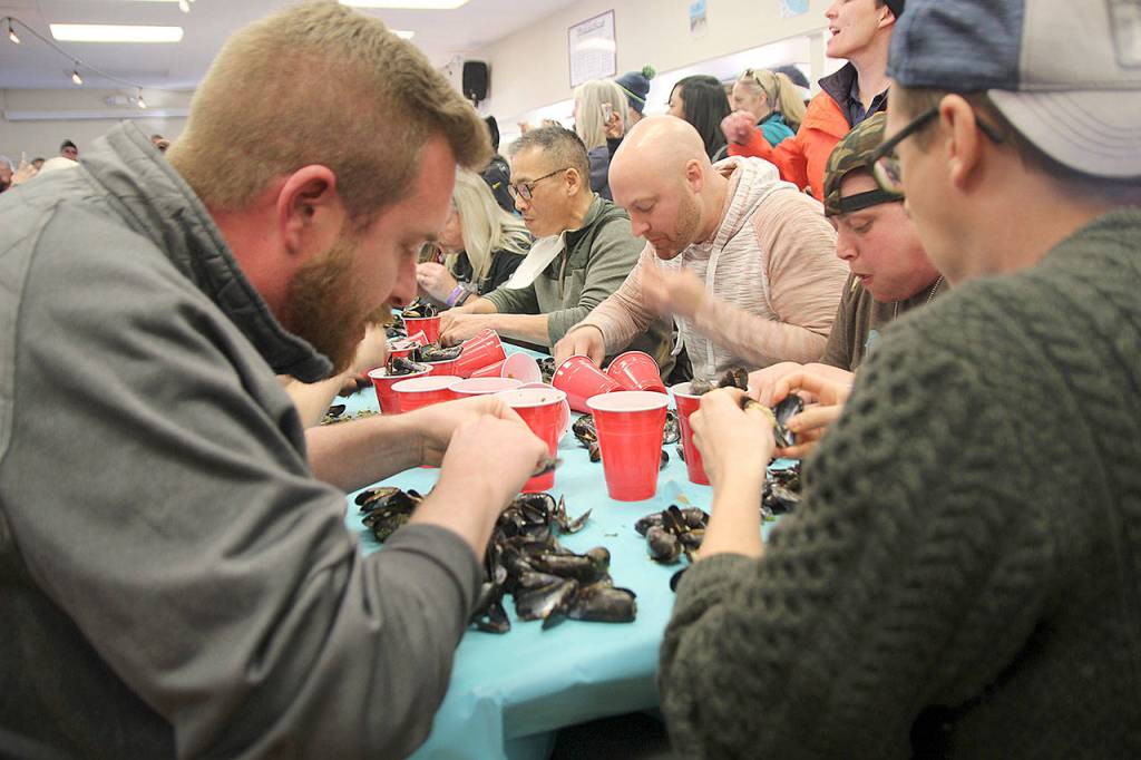 The Coupeville Rec Hall was filled with people watching this years Mussel-eating competition. Contestants ate as quickly as they could. (Photo by Maria Matson/Whidbey News -Times)