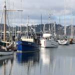 Proposed moorage rate increases at the Oak Harbor Marina may impact large boats the most. (Photo by Jessie Stensland / Whidbey News-Times)