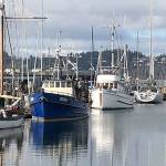Oak Harbor council to look at proposed fee hikes for marina