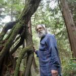 Environmentalist Steve Erickson of WEAN stands with a tree growth that sprouted from the decay of another tree along the Wilbert trail in South Whidbey. (Photo by Maria Matson / South Whidbey Record)