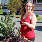 Mobile home park’s wells go dry