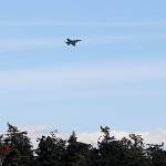 Photo by Jessie Stensland / Whidbey News-Times.                                A Growler flies near a treeline just outside of Coupeville Monday afternoon.