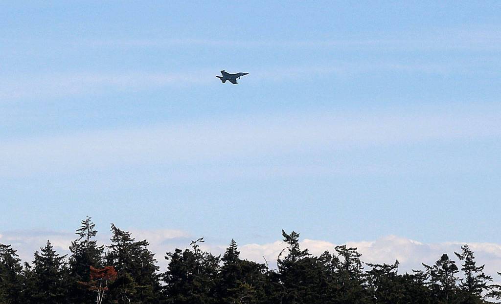 Photo by Jessie Stensland / Whidbey News-Times.                                A Growler flies near a treeline just outside of Coupeville Monday afternoon.