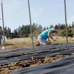 Salty Acres is an entirely family-run operation.