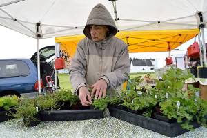 Farmers markets open for season