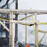 Chickens and a rooster re-enter their coop after it burned up Monday in a fire on Penn Cove Road. Photo by Laura Guido/Whidbey News-Times