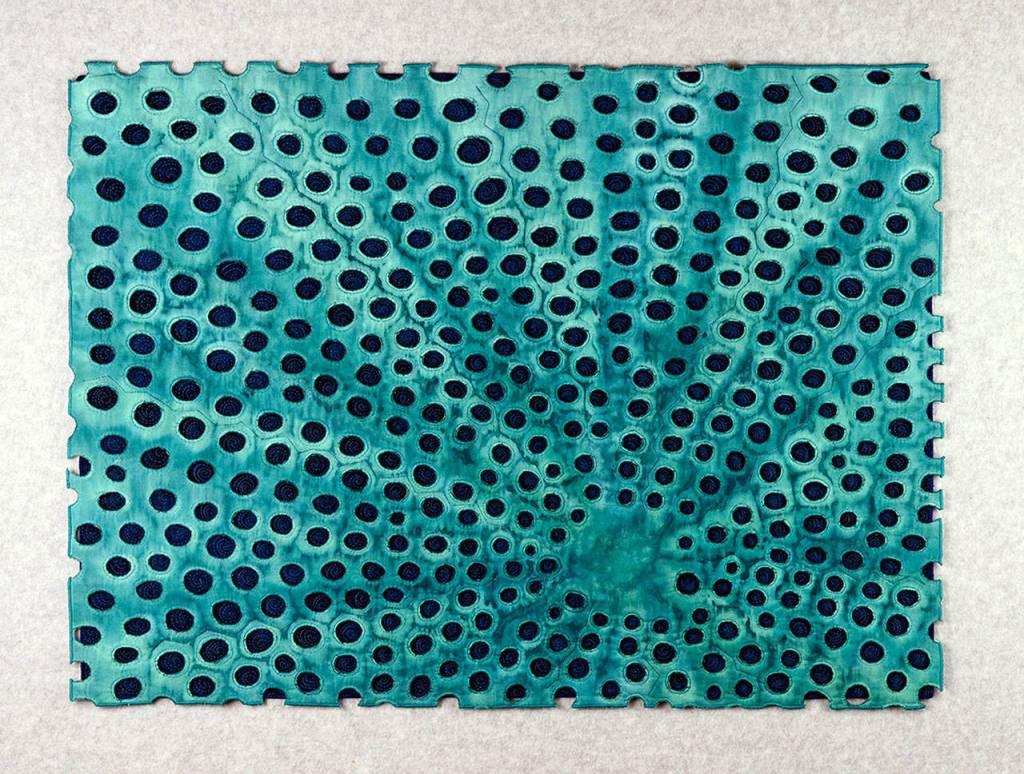 This fabric is made of several layers of cloth, stitch and paint, and is based on the surface of diatoms.