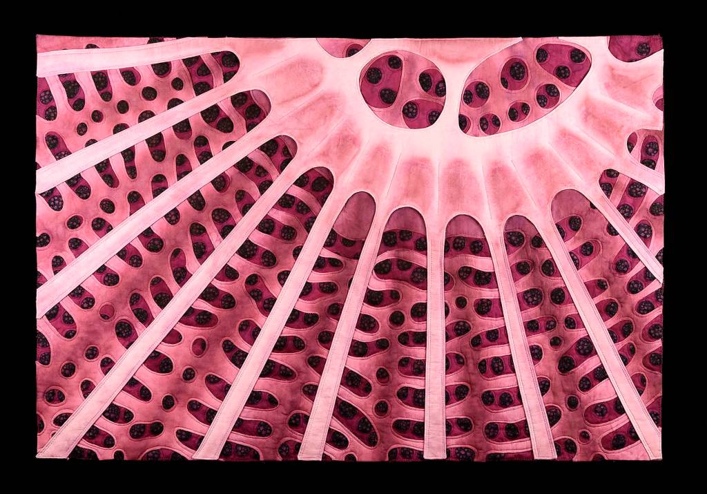 This fabric is made of several layers of cloth, stitch and paint, and is based on the scanning electron microscope images of diatoms.