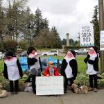 Activists rally for woman on hunger strike to draw attention to plight of orcas
