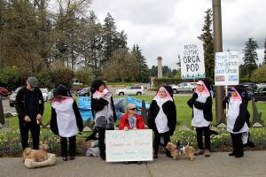 Activists rally for woman on hunger strike to draw attention to plight of orcas