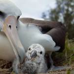 Grief in the middle of the ocean