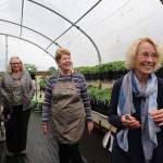 (Photo by Maria Matson/ Whidbey News Group)                                The Coupeville Garden club has been preparing for months for this years sale. From left to right: Elaine Meaker, club president Susan Myers and past president Marie Magee.