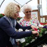 (Photo by Maria Matson/ Whidbey News Group)                                Marie Magee trims flowers, called deadheading, in order to <strong>spur</strong> new growth. Virginia Brown looks on.