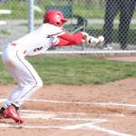 The Wolves Hawthorne Wolfe squares up a bunt.(Photo by John Fisken)