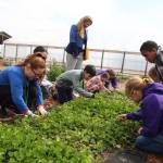 Crescent Harbor Elementary School students show Elizabeth Smidtz