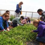 Oak Harbor school district recognized for its green efforts