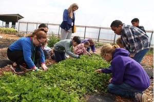 Oak Harbor school district recognized for its green efforts