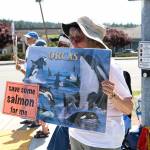 (Photo by Laura Guido/Whidbey News-Times)                                Shari Devlin displays her sign at the intersection of Highway 20 and Main Street in Coupeville Saturday as part of the annual Empty the Tanks protest to release orcas.