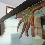 SPU invites public to tour historic Camp Casey center