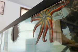 SPU invites public to tour historic Camp Casey center