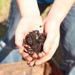 Oak Harbor Public Schools recognized for green efforts