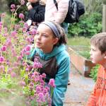 Ava Ashby and Axel Marshall look at bumble bees in the Whidbey Camano Land Trusts native plant garden on a field trip to the Admiralty Inlet Preserve. Photo by Laura Guido/Whidbey News-Times