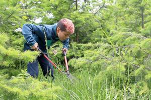 Coupeville classroom moves outdoors