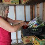 Executive Director Jean Wieman sorts through fresh produce. (Photo by Maria Matson/Whidbey News-Times)