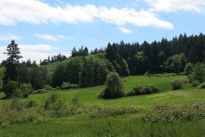 County awards land preservation grants