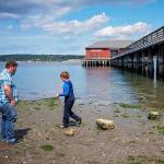 Port of Coupeville approves $16,000 to launch wharf restorations