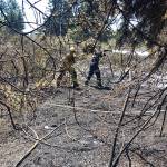 South Whidbey Fire/EMS firefighters extinguish a brush fire near Humphrey Road last week. Photo provided