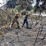 Dry conditions increase fire danger